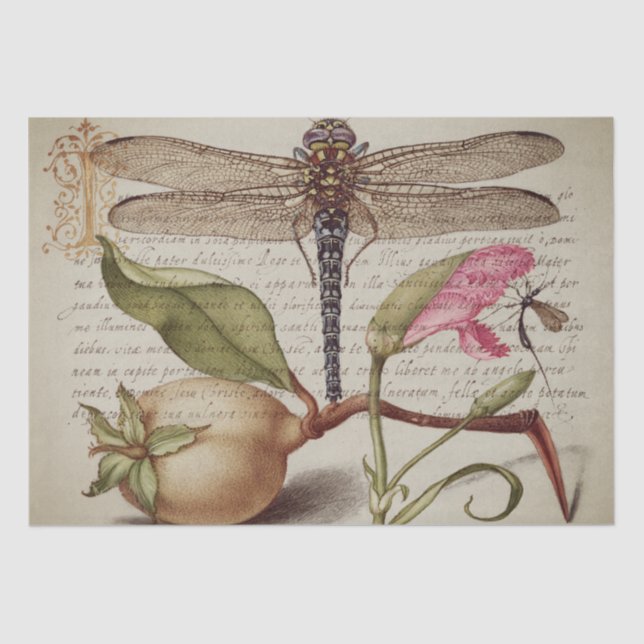 Calligraphy (Dragonfly, Carnation & Pear)  Tissue  Paper (Front)