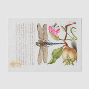 Calligraphy (Dragonfly, Carnation & Pear )     Tissue Paper