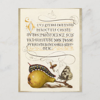 Calligraphy gilded initial vintage pear bug postcard