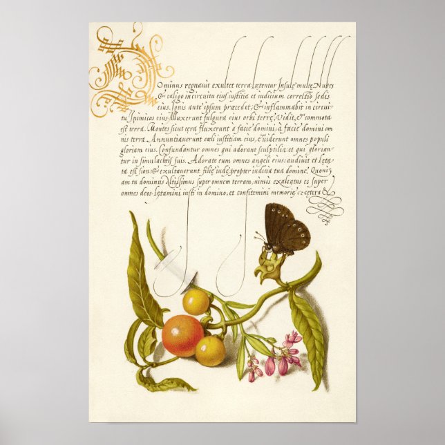 Calligraphy gilded initial vintage plants ringlet poster (Front)