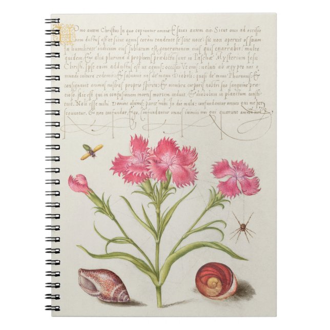 CALLIGRAPHY SPIDER SANTA FLOWER PUBLIC DOMAIN BOTA NOTEBOOK (Front)