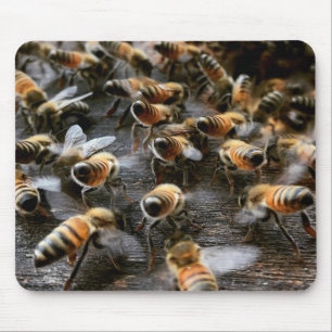 Calling All Bees Mouse Pad