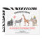 Calling All Party Animals Zoo Wild Girl Birthday