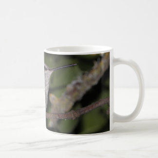 Calliope Hummingbird Coffee Mug