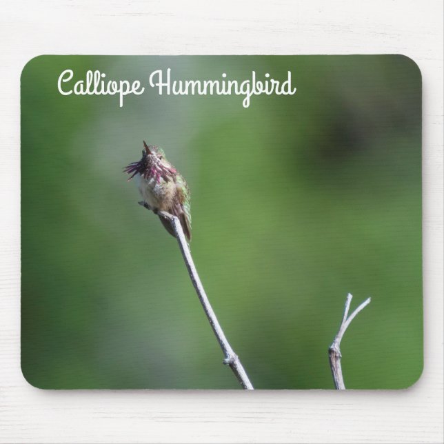 Calliope Hummingbird Mouse Pad (Front)