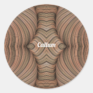 CALLUM ~ Pretty Shades of Brown Fractal ~ Classic Round Sticker