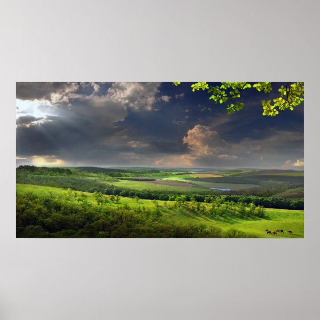 Calm Afternoon Poster (Front)