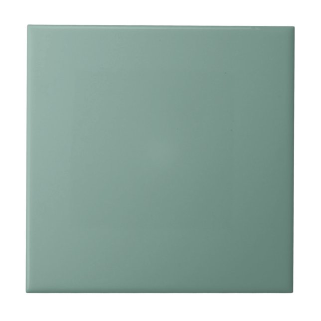 Calm and Composed Square Kitchen and Bathroom Ceramic Tile (Front)