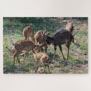 Calm Antelope – African Nature Jigsaw Puzzle
