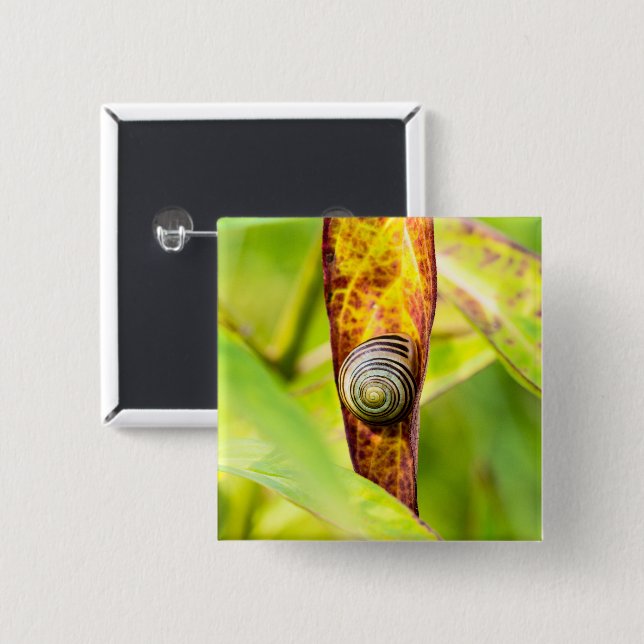 calm attachment 15 cm square badge (Front & Back)