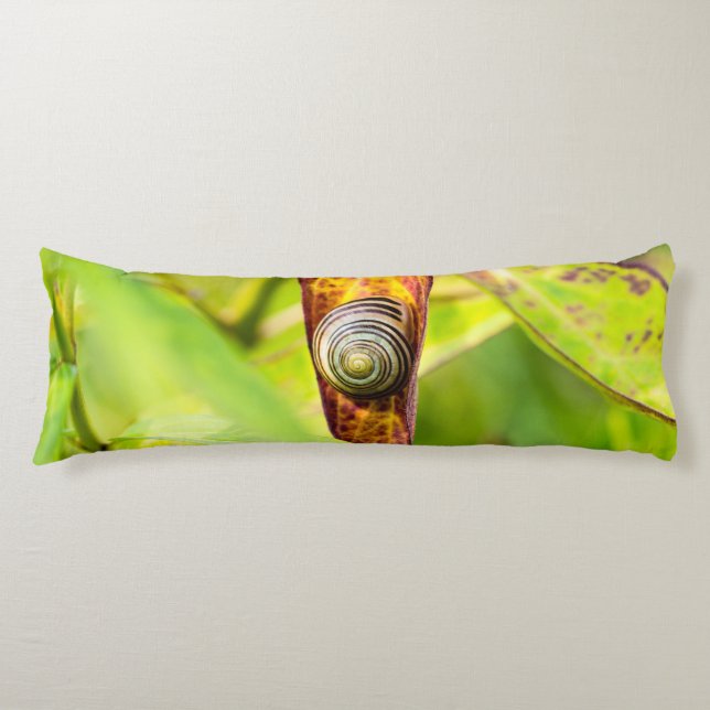 calm attachment body cushion (Front)