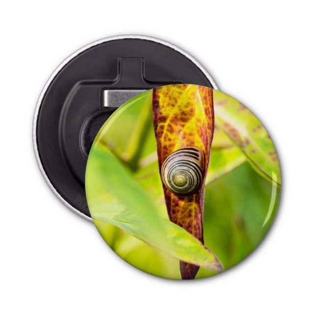 calm attachment bottle opener (Front)