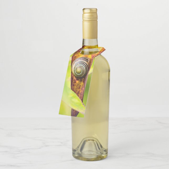calm attachment bottle tag (Angled)