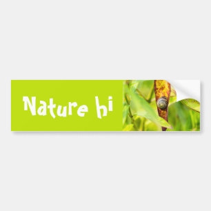 calm attachment bumper sticker