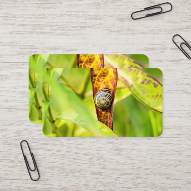 calm attachment business card (Front/Back In Situ)