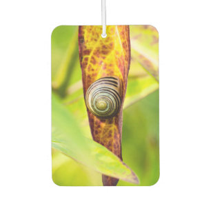 calm attachment car air freshener