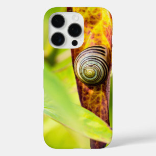 calm attachment iPhone 16 pro case
