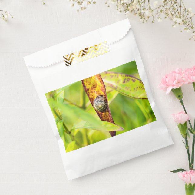 calm attachment favour bag (Sealed)
