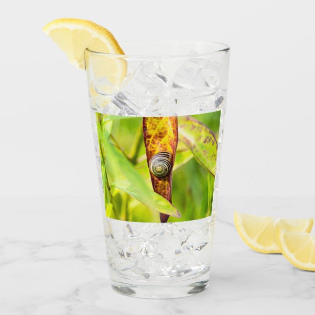 calm attachment glass (Front Ice)