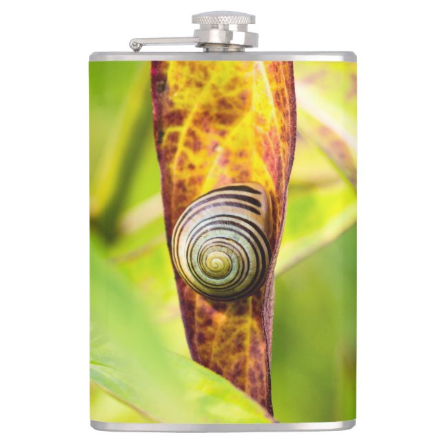 calm attachment hip flask (Front)