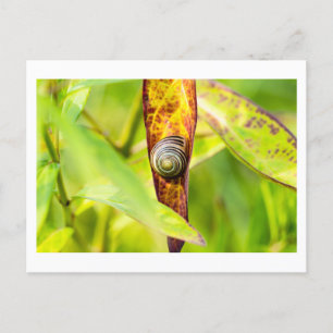 calm attachment holiday postcard