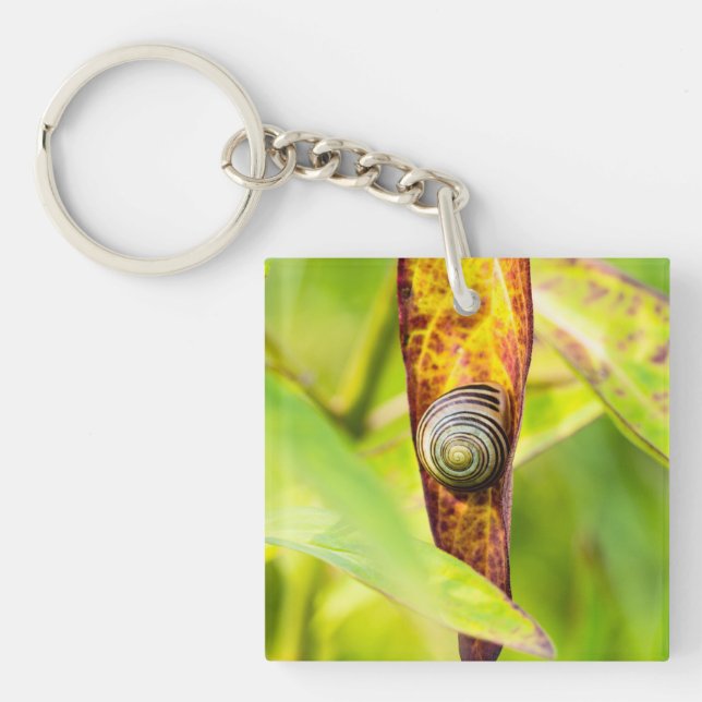 calm attachment key ring (Front)