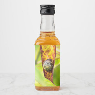 calm attachment liquor bottle label