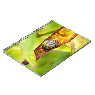 calm attachment notebook