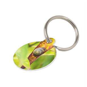 calm attachment pet tag