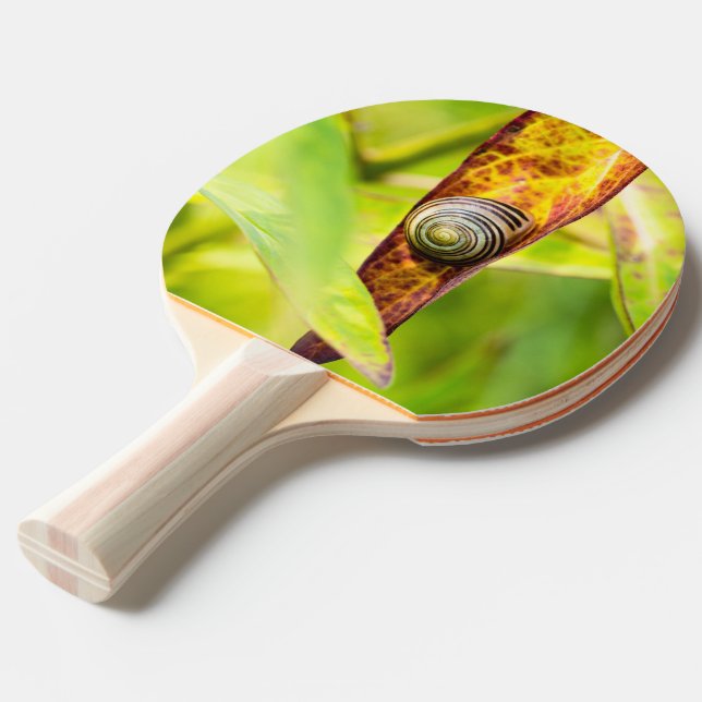 calm attachment ping pong paddle (Back Angle)