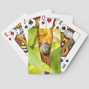 calm attachment playing cards