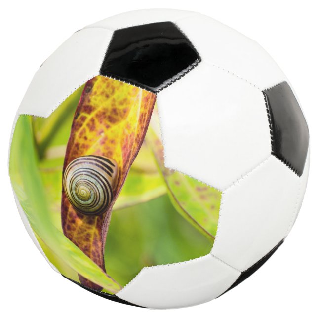 calm attachment soccer ball (Three Quarter)