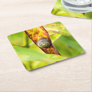 calm attachment square paper coaster