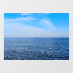 Calm Black Sea Romania – Seagulls Blue Sky Print