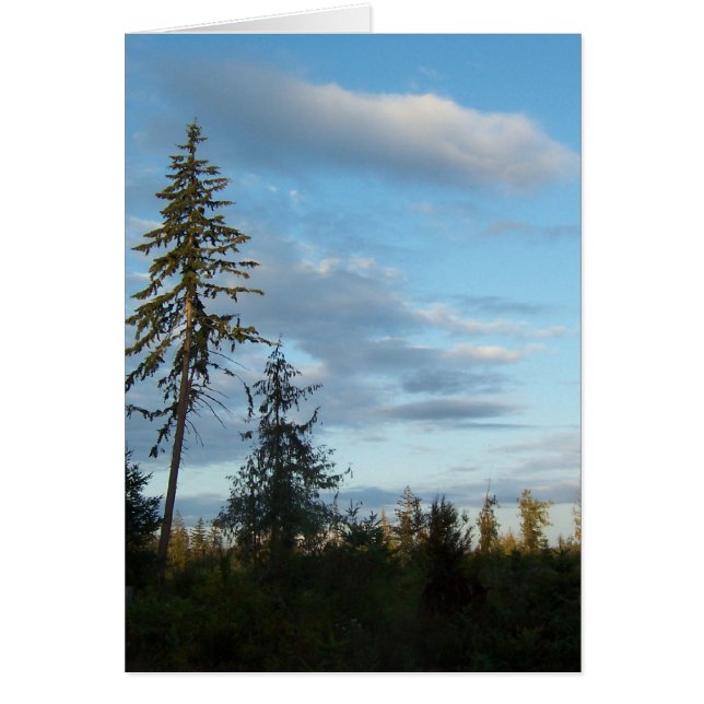 Calm Blue Skies (Front)