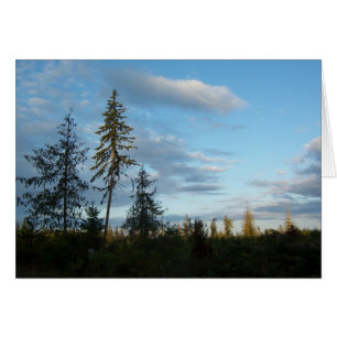 Calm Blue Skies Card