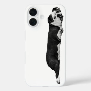 Calm Bulldog Cover