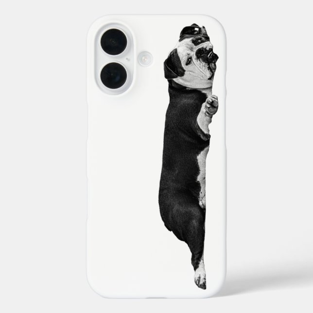 Calm Bulldog Cover (Back)