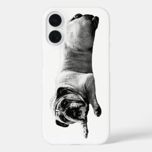 Calm Bulldog Cover