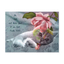 Calm cat comfort scripture postcard