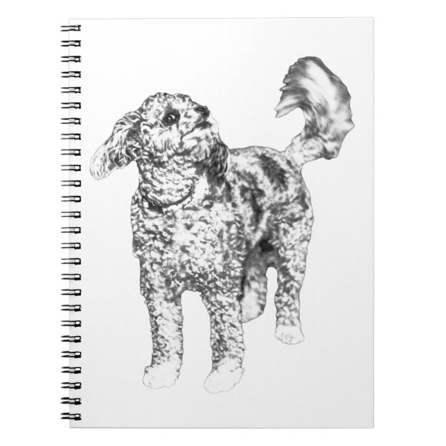 Calm Curl Glow Notebook (Front)