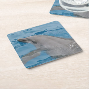 Calm Dolphin Moment on Sunlit Blue Water Square Paper Coaster