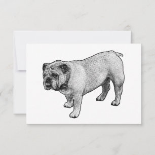 Calm Dot Respect Thank You Card