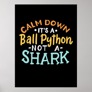 Calm Down It Is A Ball Python Poster