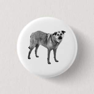 calm flake shine, tibetan mix 3 cm round badge