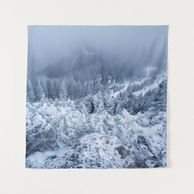 Calm foggy winter day on top of the mountains tapestry (Front)