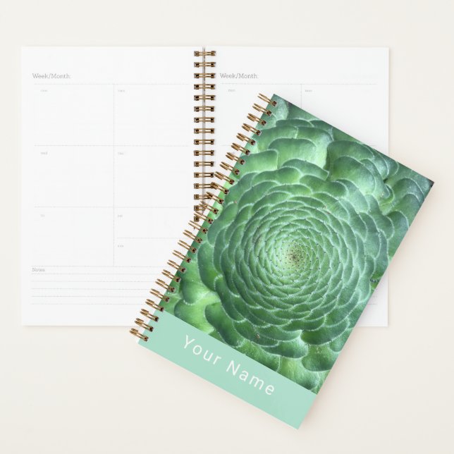 Calm Green Succulent Plant Planner (Display)
