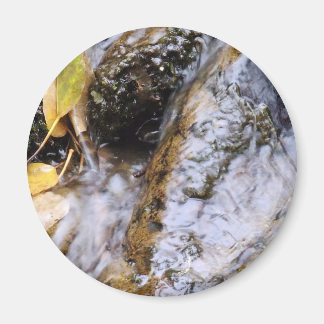 Calm Mountain Stream with Autumn Leaves Magnet (Front)