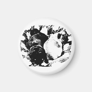 Calm Pugs on the Fridge Magnet