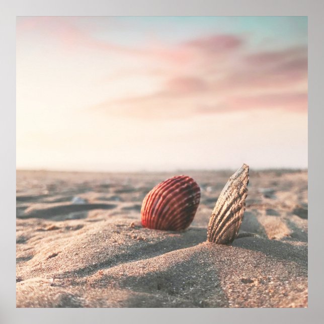 Calm Sand Beach Sea Shell Ocean Photography Poster (Front)